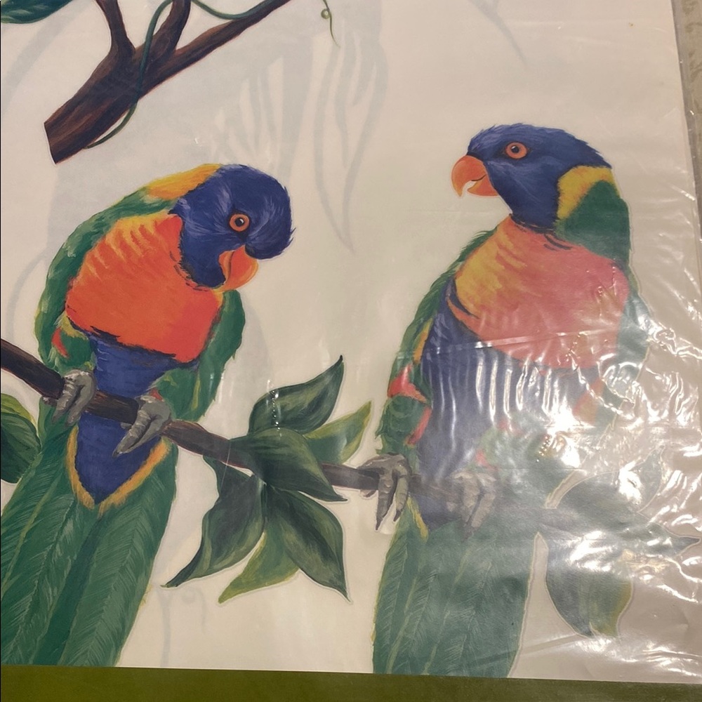 Tatouage Colorful Parrot Wall Rub on Mural - Picture 3 of 4
